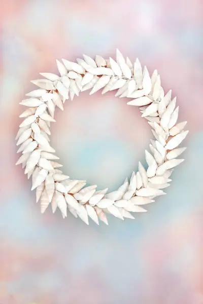 stock image Cerithium white sea snail shell wreath on rainbow sky cloud background. Summer nature abstract design for greeting card.