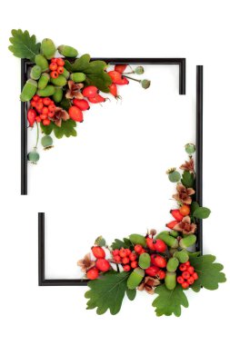 Sonbahar Sonbaharı rengarenk doğa arkaplan sınırı. Soyut kırmızı yeşil canlı hasat festivali tasarımı beyaz, siyah resim bölünmüş çerçeve.