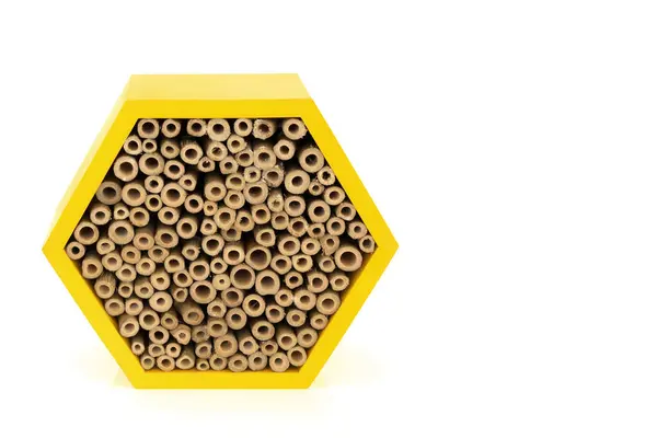 stock image Hexagonal bee house for conservation of bees. Eco friendly insect wooden shelter with bamboo on white background.