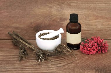 Doğal tıp için havan topuyla kediotu kökü hazırlıyorum. Uykusuzluk, stres, endişe, sindirim sağlığı, regl sancıları tedavisi. Alternatif bitkisel iyileştirme.