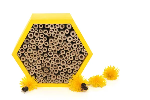 stock image Bee house for conservation and protection with bees and nectar rich dandelion flowers. Eco friendly shelter hexagonal wooden shape with bamboo on white.