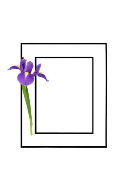 Huzur içinde yat, siyah çerçeveli siyah süsen çiçekli yaşam anısına verilen kartı kutla. Cenaze töreni ya da hizmet düzeni için en az anma arkaplan tasarımı.