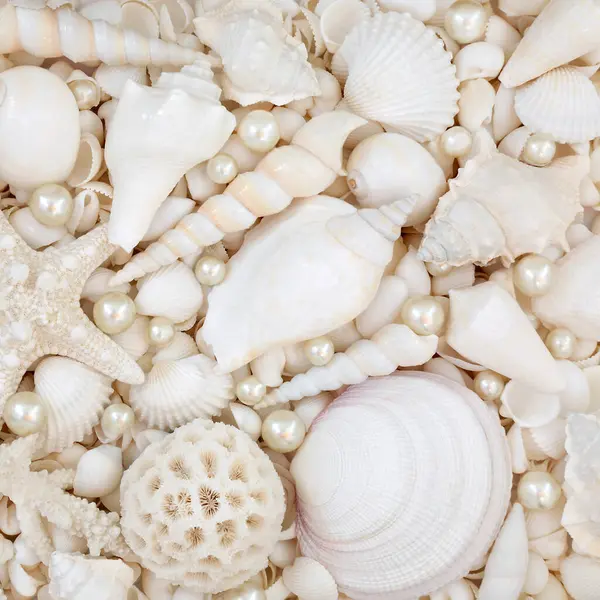 stock image Beautiful white seashells and oyster pearl background with large collection of beach shells. Nature marine life composition for summer theme greeting card.