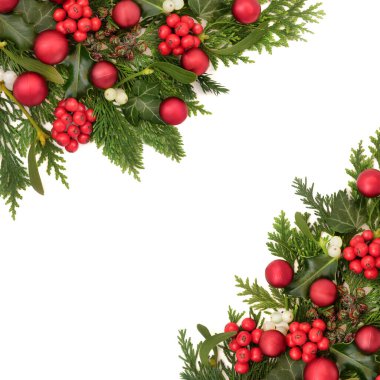 Kış yeşilimsi Noel kırmızı çiçekli beyaz. Holly sarmaşık ökseotu, sedir köknarı ve bayram sezonu için kozalak doğal tasarımı..