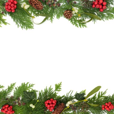 Kış Noel kutsallığı, ökseotu, sarmaşık, köknar, flora arkaplan çerçeve sınırı beyaza. Davetiye, hediye etiketi ve etiye için doğal yaprak tasarımı. Boşluğu kopyala.