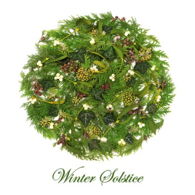 Kış gündönümü yeşili flora ökseotu, sarmaşık, sedir köknarı yaprağı filizi, çam kozalakları, beyaz üzerine doğal Noel şekli. Doğa yeşili logo wicca druid, pagan sembolü..