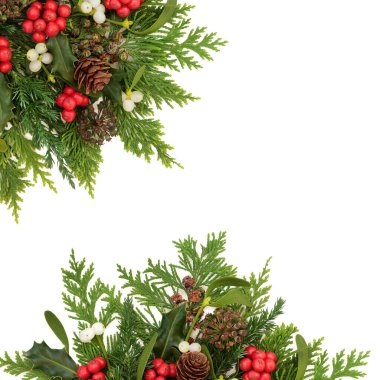 Geleneksel kış kutsallığı ve Noel arkaplanı beyaz, ökseotu, sarmaşık, köknar ve beyaz üzerine çam kozalağı. Doğal doğa florası, Vika, pagan, Druid sembolleri.