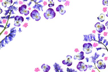 Beyaz arka planda Bahar Beltane çiçek kenarı. Anneler Günü, doğum günü, yıldönümü tebrik kartı için çiçek desenli doğa tasarımı. BlueBell, nonoş, kırmızı çan çiçekleri.