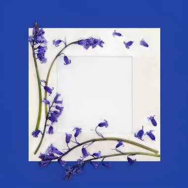 Bluebell çiçeği Beltane ve bahar arkaplan sınırı beyaz çerçeveli ve mavi üzerine kopyalama alanı. Mayıs Bayramı, Beltane, İlkbahar, Ormanlık Orman Çiçeği tebrik kartı..
