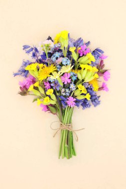 Bahar çayırı ve orman çiçekleri doğum günü ya da anneler günü hediyesi. İlkbahar Beltane Festivali çiçek buketi mevsimlik dekorasyonu. Krema arka planı.