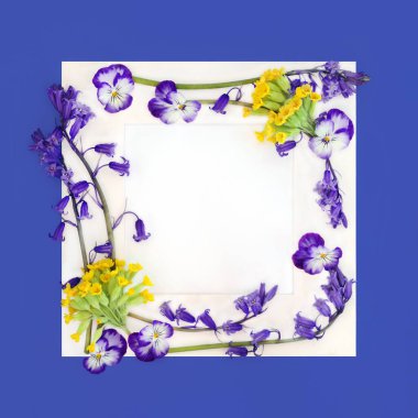 Beyaz çerçeveli Beltane İlkbahar arkaplan sınırı, mavi çerçeveli telif alanı. Mayıs Bayramı, Paskalya ve Bahar çiçeklerinin sembolü..