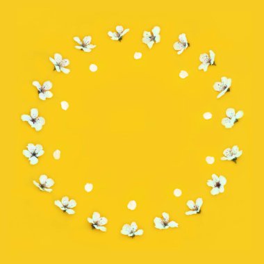 Sarı arka planda ilkbahar kiraz çiçeği ve Beltane yaprağı çelengi. Anneler Günü, doğum günü, tebrik kartı için doğanın yenilenmesinin bahar zamanı çiçek sembolü..