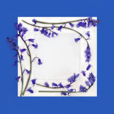 BlueBell Orman Çiçekleri bahar arkaplan sınırı. Mavi üzerine beyaz çerçeve. Bir Mayıs Beltane 'nin doğa sembolü. Ormanlık alandaki kır çiçeklerinin bahar mevsimi tebrik kartı için..