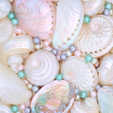 İnciler ve deniz kabuklarının anası. Abalone troca ve turbo salyangoz. Tebrik kartı için dekoratif deniz yaşamı soyut tasarımı.