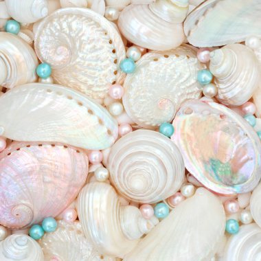 Deniz kabukları ve inci sembolleri, deniz kulağı, troca ve turbo salyangozların anası. Tebrik kartı için güzel deniz yaşamı tasarımı.