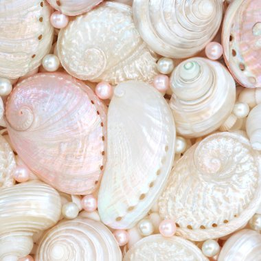 İnciler ve istiridye incili deniz kulağı trokası ve turbo salyangoz arka planı. Tebrik kartı için dekoratif deniz yaşamı tasarımı.