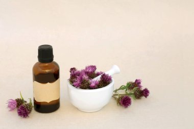 Süt devedikeni bitkisi doğal bitkisel ilaçlar, gerekli yağ şişesi ve kenevir kağıdı arka planında harç. Karaciğer desteği için alternatif detoks tedavisi.