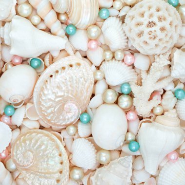 Beyaz kabuklu deniz kabukları ve renkli istiridye incileri. Yaz tebrik kartı için doğa sahili deniz yaşamı dekoratif kompozisyonu.