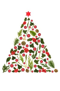 Noel kırmızı mücevheri ve flora ağacı kışın kutsal, ökseotu, sarmaşık, beyaz arka planda köknar olan gerçeküstü bir şekil. Tatil sezonu için şenlikli Xmas kış tasarımı.