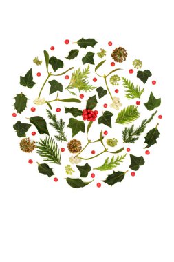 Geleneksel Kış Noel doğası flora daire şeklindeki sembol, kutsal böğürtlen. Putperest Druid Gündönümü için doğal tasarım Şenlik Noel tatili.