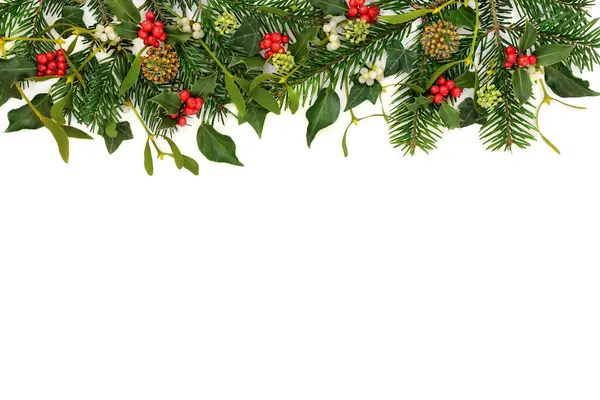 Geleneksel Noel Kış Doğası bitki örtüsü beyaz üzerine kutsal kırmızı böğürtlen, ökseotu, sarmaşık köknarı. Noel gündönümü bayramı için şenlikli doğal tasarım.