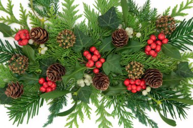 Geleneksel Noel doğası. Yeşil çiçek, ökseotu üzümü, sarmaşık, köknar, çam kozalağı. Beyaz üzerinde tatil sezonu için şenlikli Xmas tasarımı.  