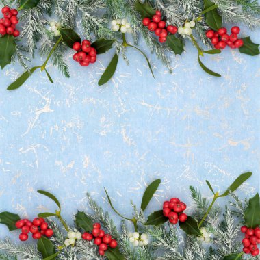 Kış Xmas geleneksel bitki örtüsü, çoban püskülü, kırmızı böğürtlen, ökseotu, mavi gümüşe karla kaplı köknar. Noel tebrik kartı için soğuk festival mevsimlik teması.