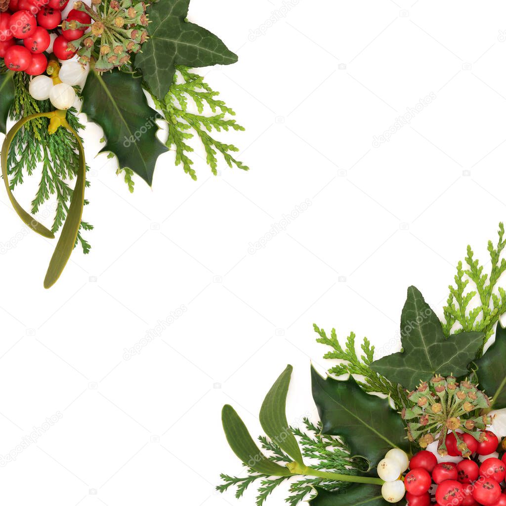 Winter solstice nature Christmas background border on white. Traditional flora of holly, ivy, fir, mistletoe. Wicca Druid Pagan holiday festive season symbols.