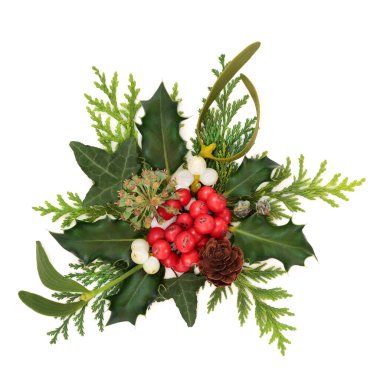 Noel meyvesi, ökseotu, sarmaşık, sedir köknarı ve beyaz üzerine çam kozalağı desenli kış çiçeği tasarımı. Wicca, pagan, Druid doğa sembolleri bayram gündönümü mevsimi için..