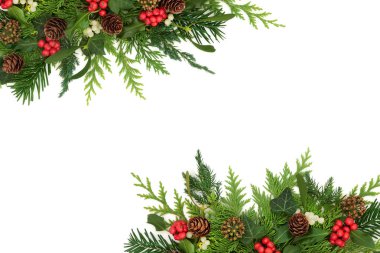 Noel kışları doğal bitki örtüsü arka planı kutsal ökseotu üzümü, sarmaşık, köknar, kozalak. Tatil sezonu için şenlikli Xmas tasarımı. Tebrik kartı, hediye etiketi..