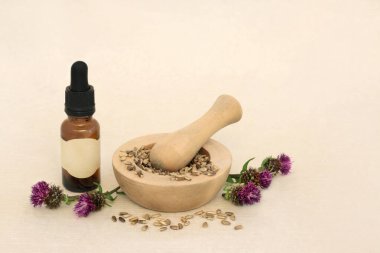 Süt devedikeni bitkisi. Tohumlu alternatif bitkisel ilaç. Temel yağ tenekesi şişesi. Karaciğer desteği için doğal detoks tedavisi.