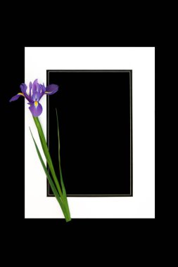 RIP, siyah üzerine beyaz çerçeveli bir iris çiçeğiyle derin bir sempati içinde anılıyor. Cenaze ya da hizmet kartı düzeni için en az hatırlama sınırı tasarımı.