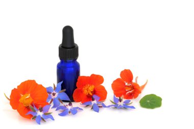 Borage ve nasturtium çiçeği esansı. Beyaz üzerine mavi yağ şişesi ile tıbbi şifa. Bütünsel sağlık ve iyileşme için çeşitli bitkisel tedavilerde kullanılır..