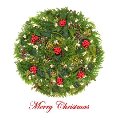 Mutlu Noeller Noel meyvesi, ökseotu, sarmaşık, sedir köknarı yaprağı filizi. Beyaz üzerine Xmas dairesi süslemesi. Doğal bitki örtüsü, pagan, Druid logosu tasarımı.. 