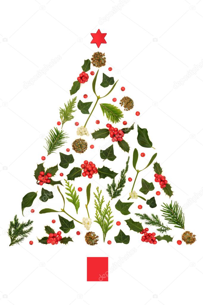 Xmas tree shape abstract concept with red star bauble decoration, winter flora, holly berries, mistletoe, ivy, fir on white background. Festive Xmas design.