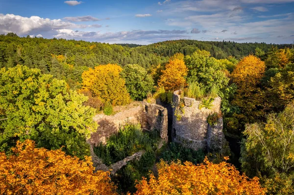 Κάστρο Cisy Κοντά Στο Walbrzych Κάτω Σιλεσία Πολωνία — Φωτογραφία Αρχείου