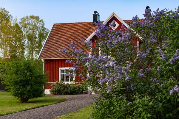 Традиционный Красный Деревянный Дом Малонаселенном Юго Западе Швеции Районе Кальмар Стоковая Картинка