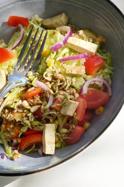 Sebzeli vitamin salatası, Feta, filiz, Mung Bean filizleri. Asya Mutfağı 