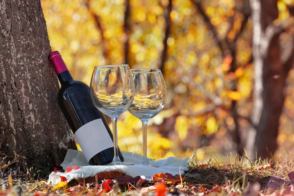 Bottle Dry Red Wine Glasses Sunlight Forest — Stock Photo, Image