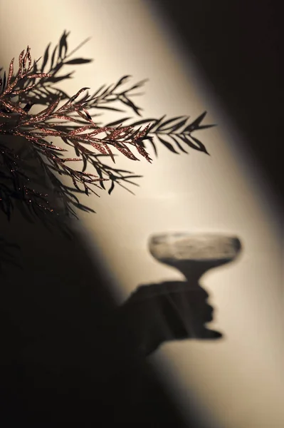 Abstract Fir Branch Shadow Hand Glass Champagne — Stock Photo, Image
