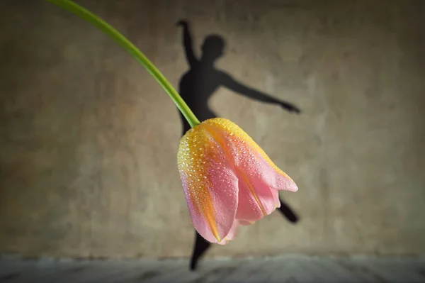 Bailarina Abstracta Sombra Usando Falda Tulipán Flor — Foto de Stock