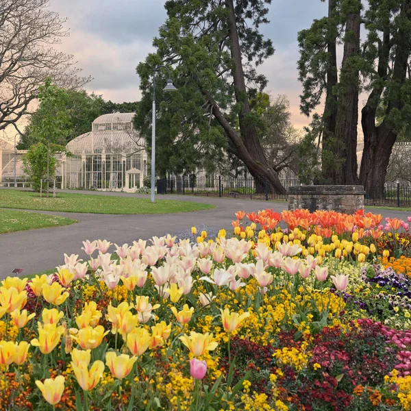 Giardino Botanico Nazionale Irlanda Primavera Dublino — Foto Stock