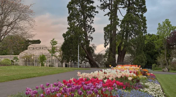 Irlands Nationella Botaniska Trädgårdar Våren Dublin — Stockfoto