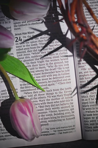 Szoros Korona Tövisek Tulipánok Nyílt Biblia — Stock Fotó