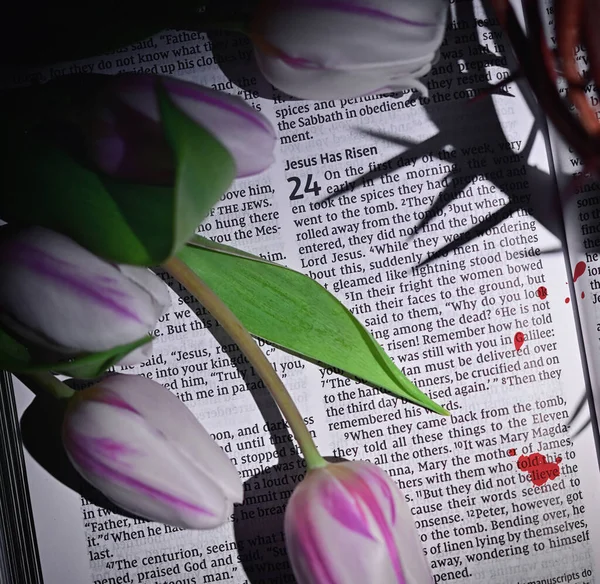Primer Plano Corona Espinas Tulipanes Biblia Abierta —  Fotos de Stock