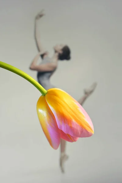 Аннотация Beautiful Ballerina Dancing Wearing Skirt Tulip Flower — стоковое фото