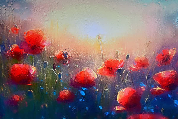Abstrato Vermelho Poppy Campo Atrás Janela Vidro Com Gotas Chuva — Fotografia de Stock