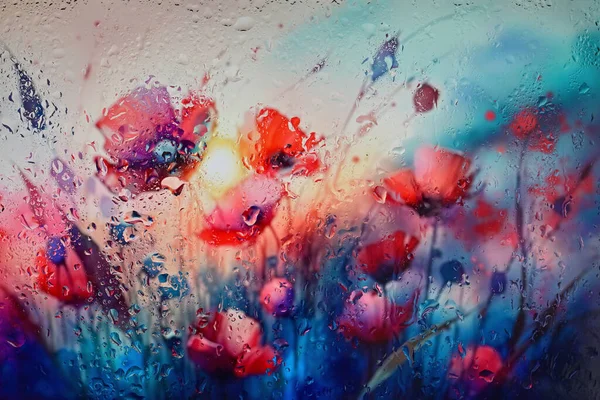 Абстрактний Червоний Мак Скляним Вікном Краплями Дощу — стокове фото