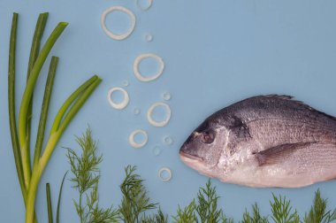 Dorada Balık Yüzücüsü. Soğan halkalarından ve Dill Herb 'den su altı hava kabarcıkları