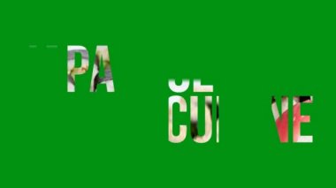  Kromakey arkaplan hareketi video 4K üzerinde JAPANESE CUISINE resim harfi